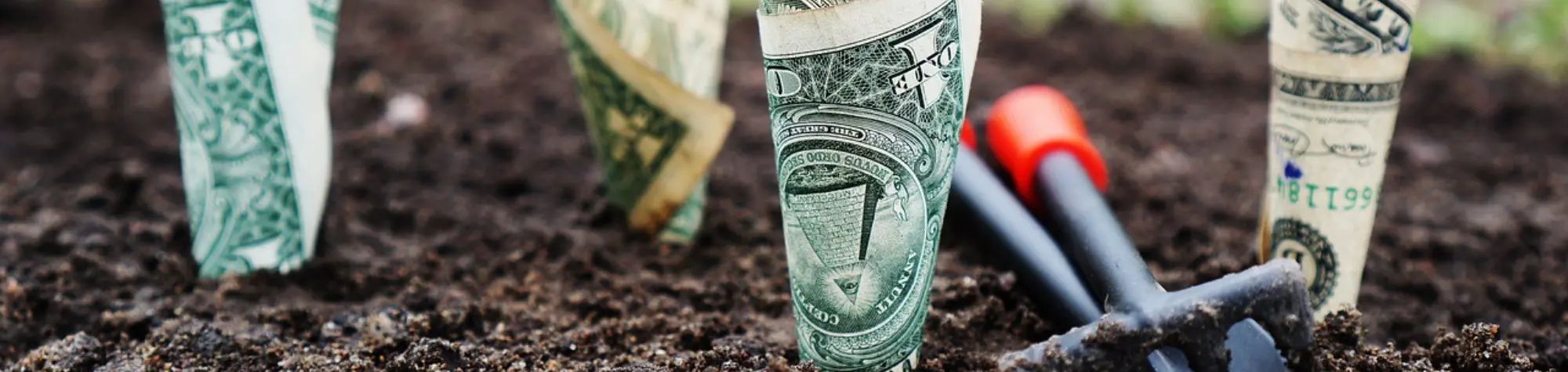 Why it's important to invest in HRM